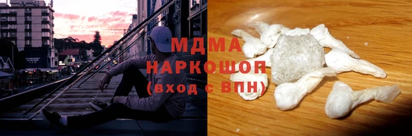 гашик Алексин