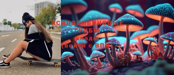 круглые Алзамай