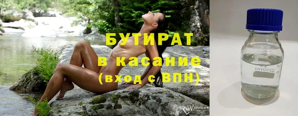 гашик Алексин