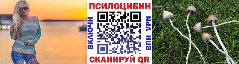 Галлюциногенные грибы Psilocybe закладка Байкальск